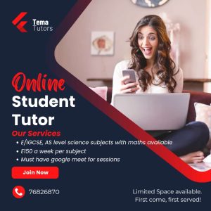 Tema Tutors