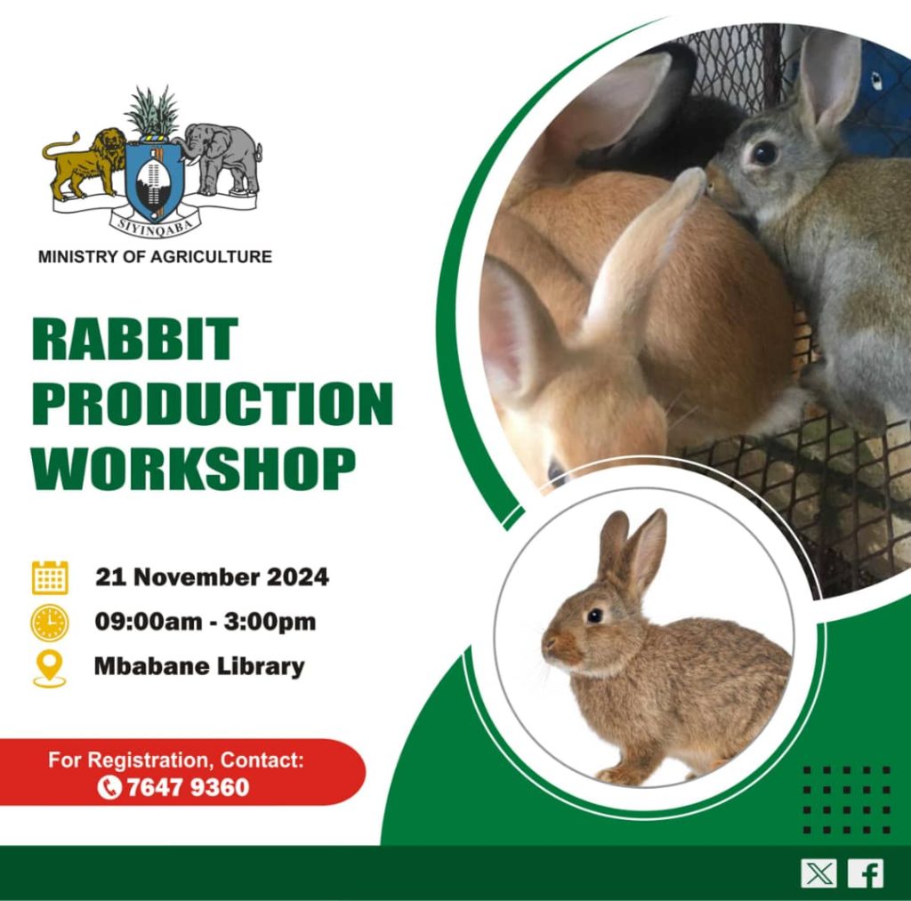 WhatsApp Image 2024-11-16 at 1.06.54 AM (2)